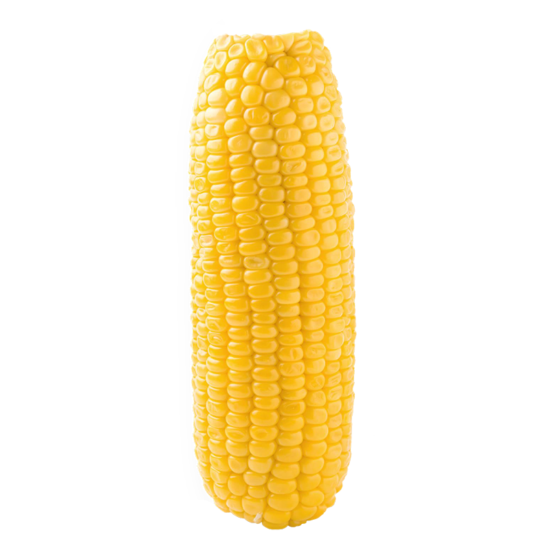 Describe Sweet Corn